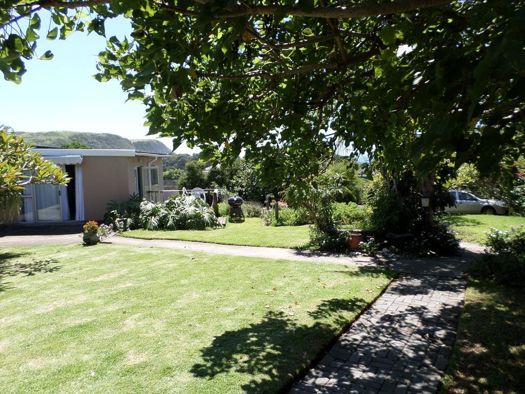 Geckos B&B And Self-Catering Coffee Bay Exteriör bild