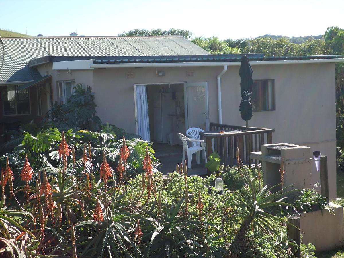 Geckos B&B And Self-Catering Coffee Bay Exteriör bild